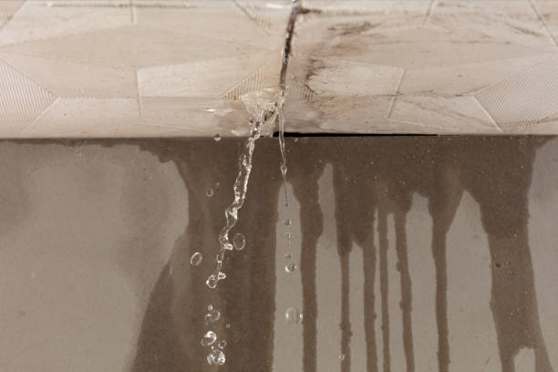 Professional Burst Pipe Cleanup technician working in Grifton, NC